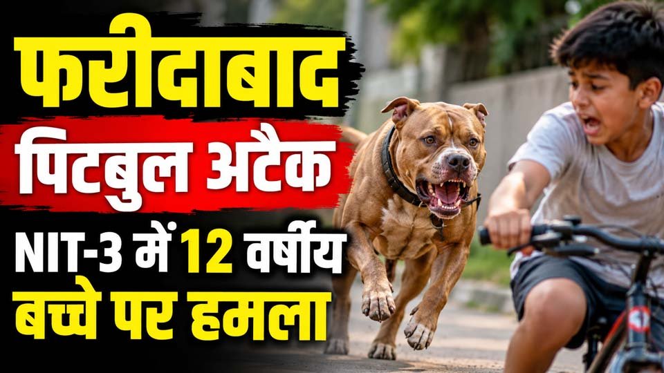 फरीदाबाद पिटबुल अटैक: NIT-3 में 12 वर्षीय बच्चा गंभीर घायल